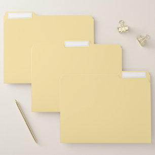 Organize in Style with Medium Champagne File Folder