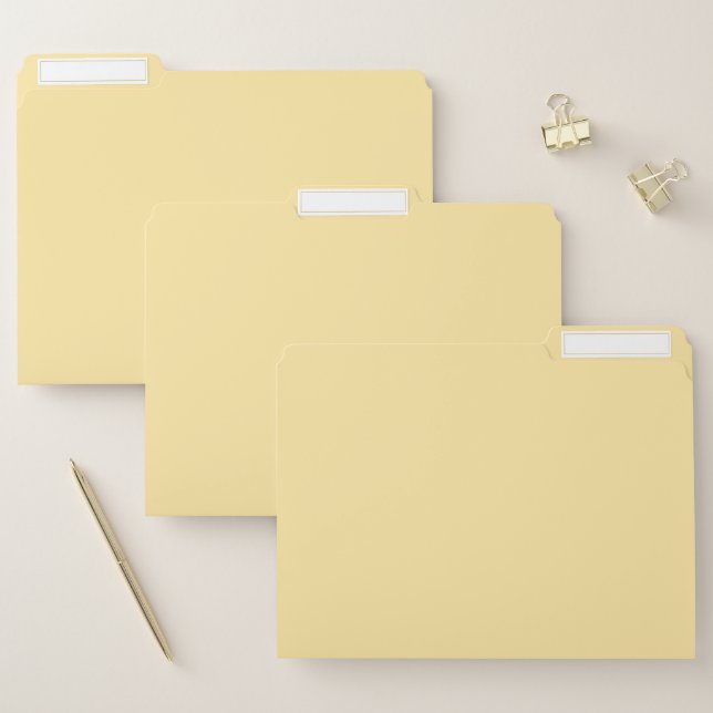 Organize in Style with Medium Champagne File Folder (Set)