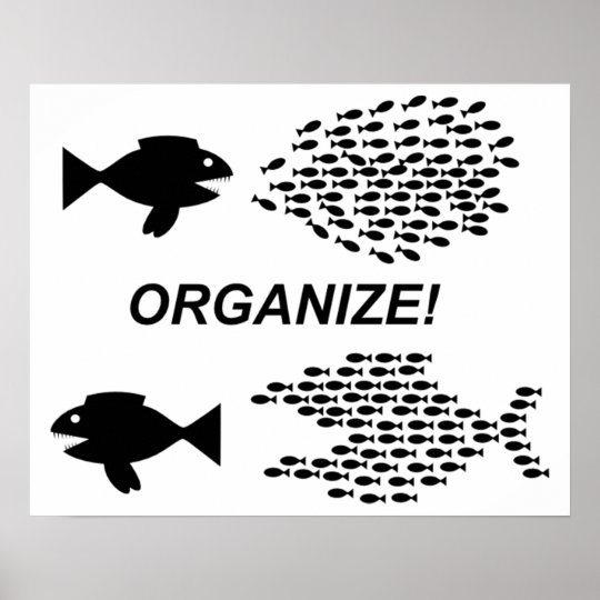 Organize poster | Zazzle.com
