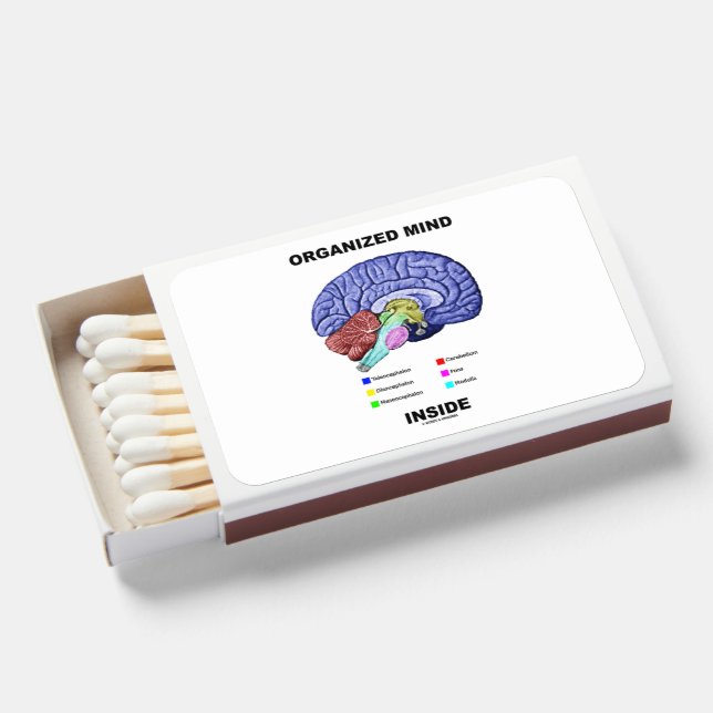 Organized Mind Inside Anatomical Brain Humor Matchboxes (Front Open)