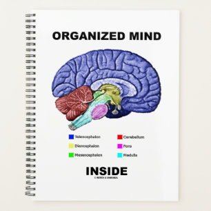 Organized Mind Inside Anatomical Brain Humor Planner