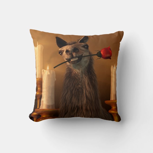 Orgle Throw Pillow (Front)