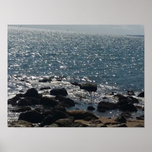 orient state park beach poster (Front)