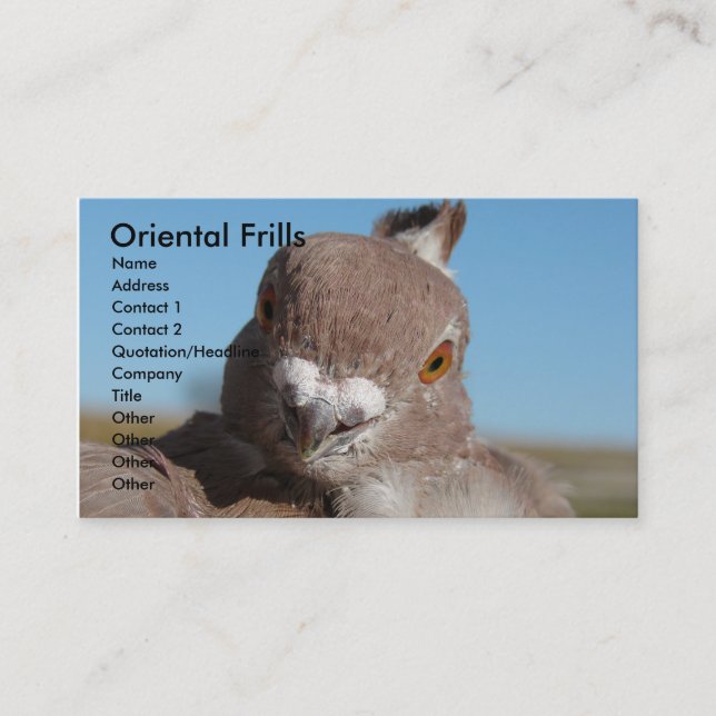 Oriental Frills Business Card (Front)