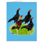 Oriental Game Fowl Quartet (Front)