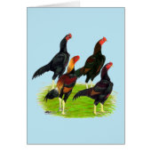 Oriental Game Fowl Quartet (Front)