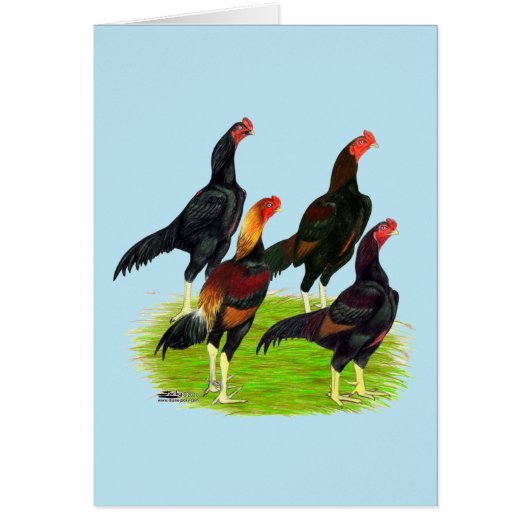 Oriental Game Fowl Quartet Cards (Front)