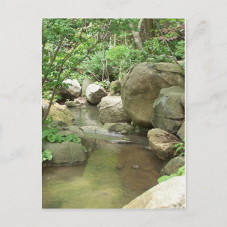 Oriental Gardens Postcard