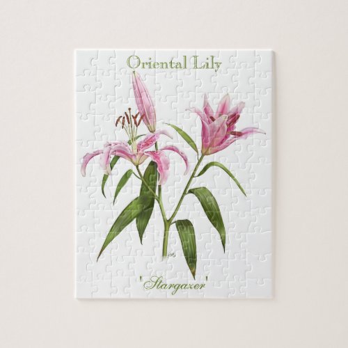 Oriental Lily _ Stargazer Jigsaw Puzzle