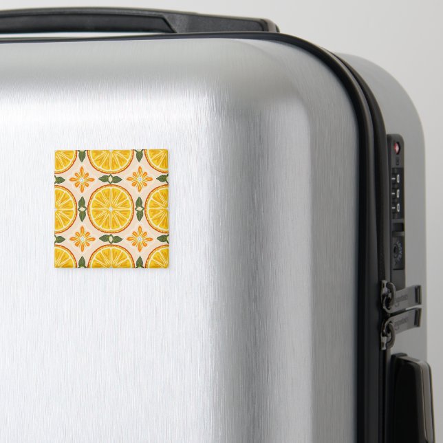 Oriental Magnet (In Situ (Luggage))