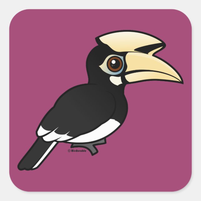 Oriental Pied Hornbill Square Sticker (Front)