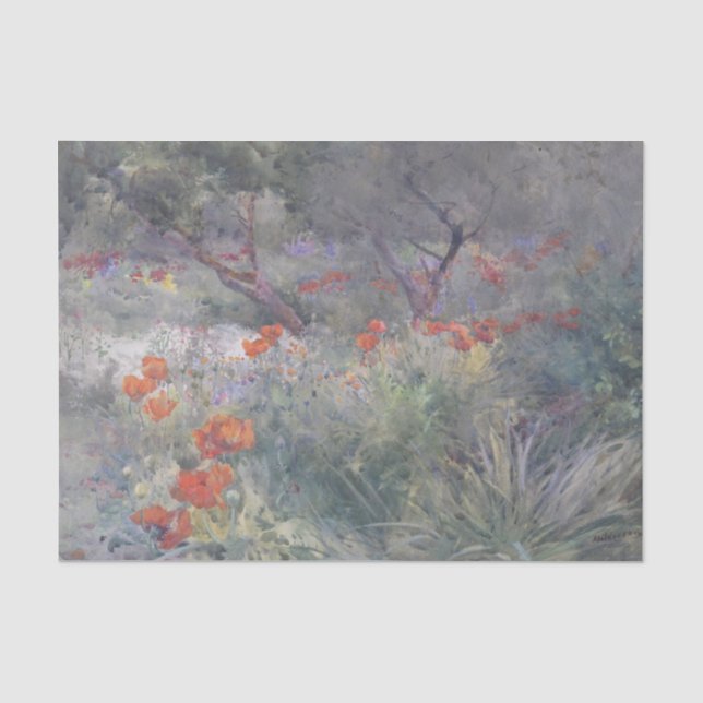 Oriental Poppies by Mildred Anne Butler Tissue Paper (Front)
