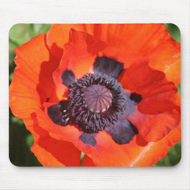Oriental Poppy Flower Mouse Pad (Front)