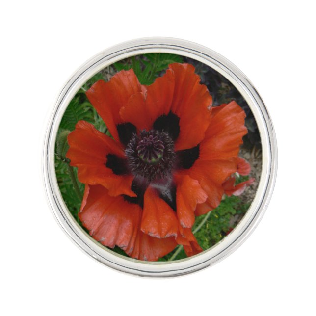 Oriental poppy      lapel pin (Front)
