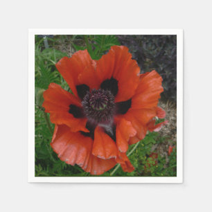 Oriental poppy   napkins