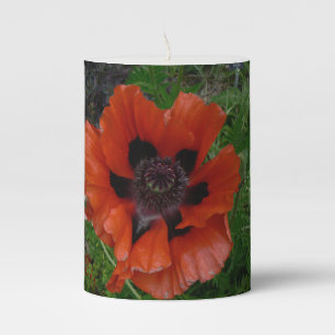 Oriental poppy pillar candle