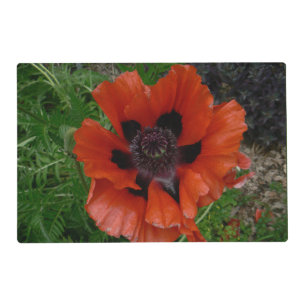 Oriental poppy placemat