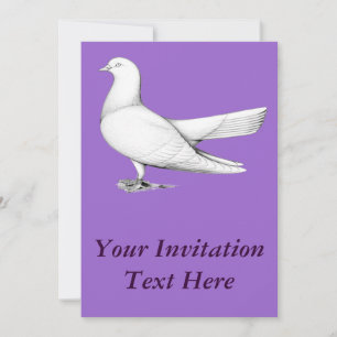 Oriental Roller Pigeon Flying Type Invitation
