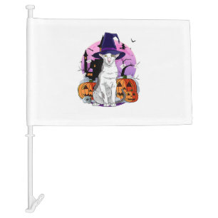 Oriental Shorthair Cat Cute Halloween Witch Pumpki Car Flag