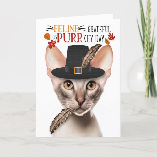 Oriental Shorthair Cat Grateful for PURRkey Day Holiday Card