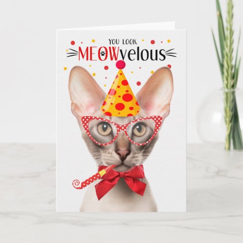 Oriental Shorthair Cat MEOWvelous Birthday Card