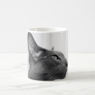 Oriental Shorthair Cat Mug