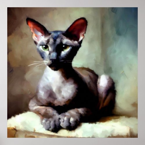 Oriental Shorthair Cat  Poster