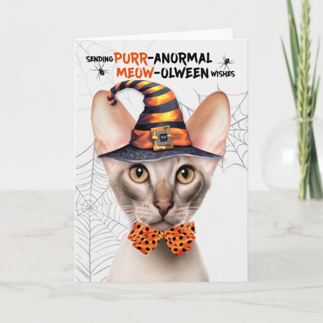 Oriental Shorthair Cat PURRanormal MEOWolween Holiday Card (Front)