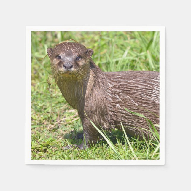 Oriental Small-clawed Otter in grass Napkins (Front)
