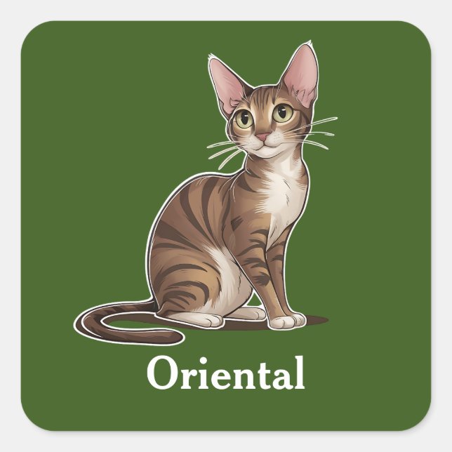 Oriental Square Sticker (Front)