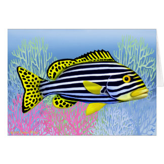 Oriental Sweetlips Reef Fish Card