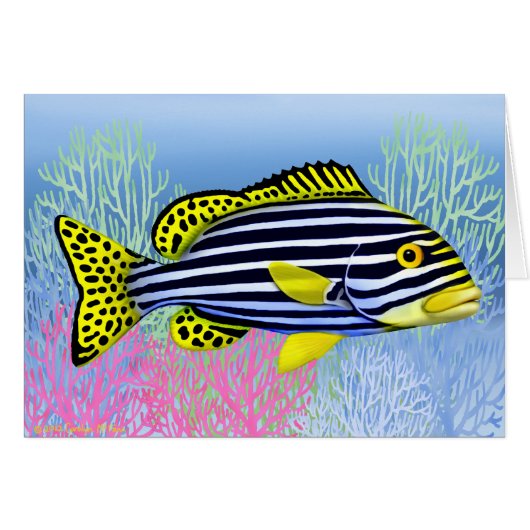 Oriental Sweetlips Reef Fish Card (Front Horizontal)