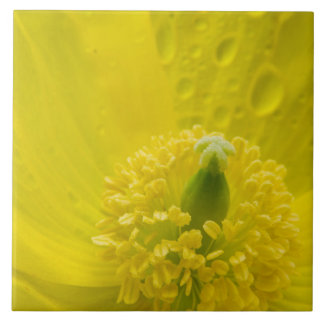 Oriental Yellow Poppy Ceramic Tile