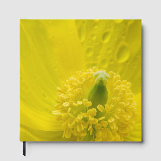 Oriental Yellow Poppy Guest Book