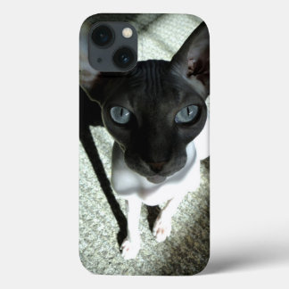 Orig. art: "Beware, the Sphynx can hypnotize..." iPhone 13 Case