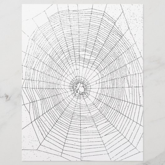 Origami Craft Paper, Spiderweb, Halloween Fun (Front)