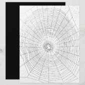 Origami Craft Paper, Spiderweb, Halloween Fun (Front/Back)