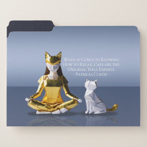 Origami Gold Foil Yoga Meditating Catwoman and Cat File Folder