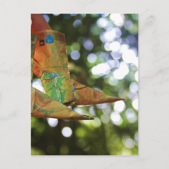 Origami Postcard (Front)