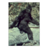ORIGINAL 1967 BIGFOOT SASQUATCH PHOTO (Front)