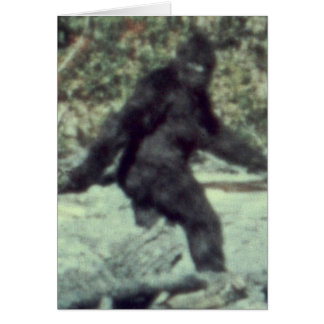 ORIGINAL 1967 BIGFOOT SASQUATCH PHOTO CARDS