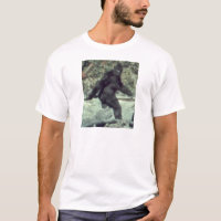 ORIGINAL 1967 BIGFOOT SASQUATCH PHOTO