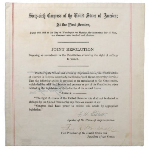 ORIGINAL 19th Amendment US Constitution Napkin