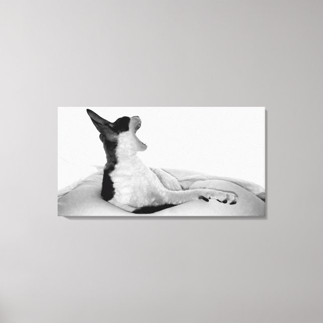 Original art: "Kitsa Diva" Canvas Print (Front)