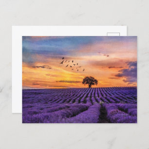 Original Art Lone Tree Peaceful Scenery Postcard