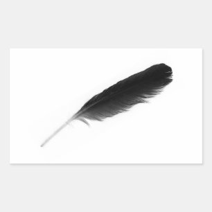Original cute black feather on a white background rectangular sticker