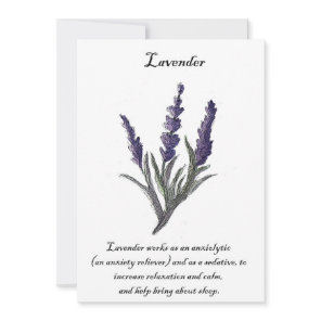 Original Design Lavender Card