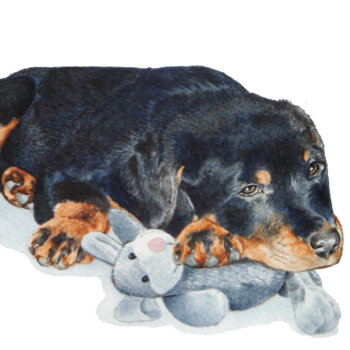 Original Dog Portrait Of Rottweiler Puppy Dog Pocket Watch by artoriginals at Zazzle