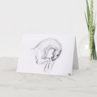 Original Drawing 4 Horse Year Zodiac Greeting Card