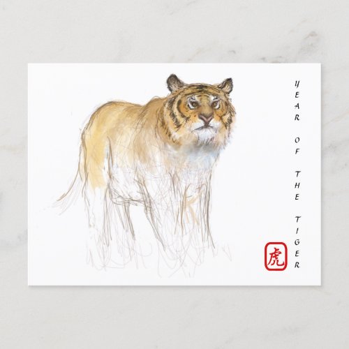 Original Drawing Chinese Tiger Year Birthday HPC Holiday Postcard